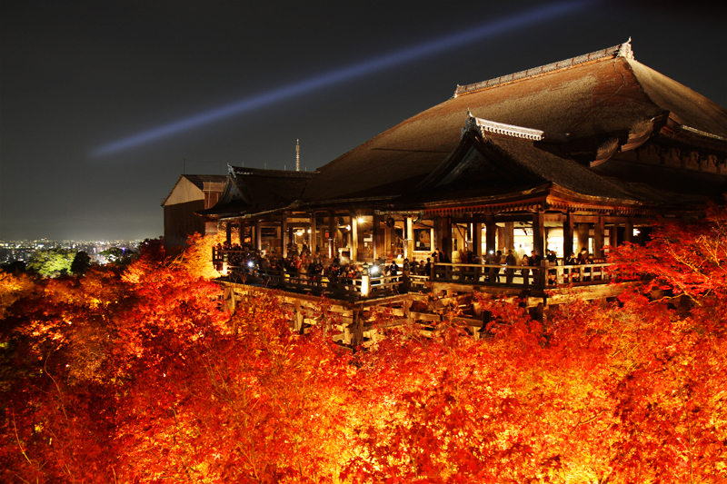 京都 秋の紅葉とライトアップ 巽写真倶楽部